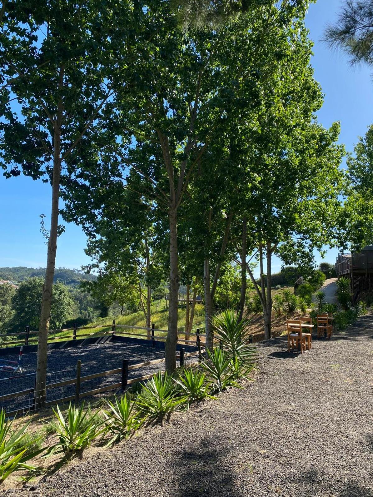 Equinatura - Silver Coast Caldas Da Rainha Dış mekan fotoğraf