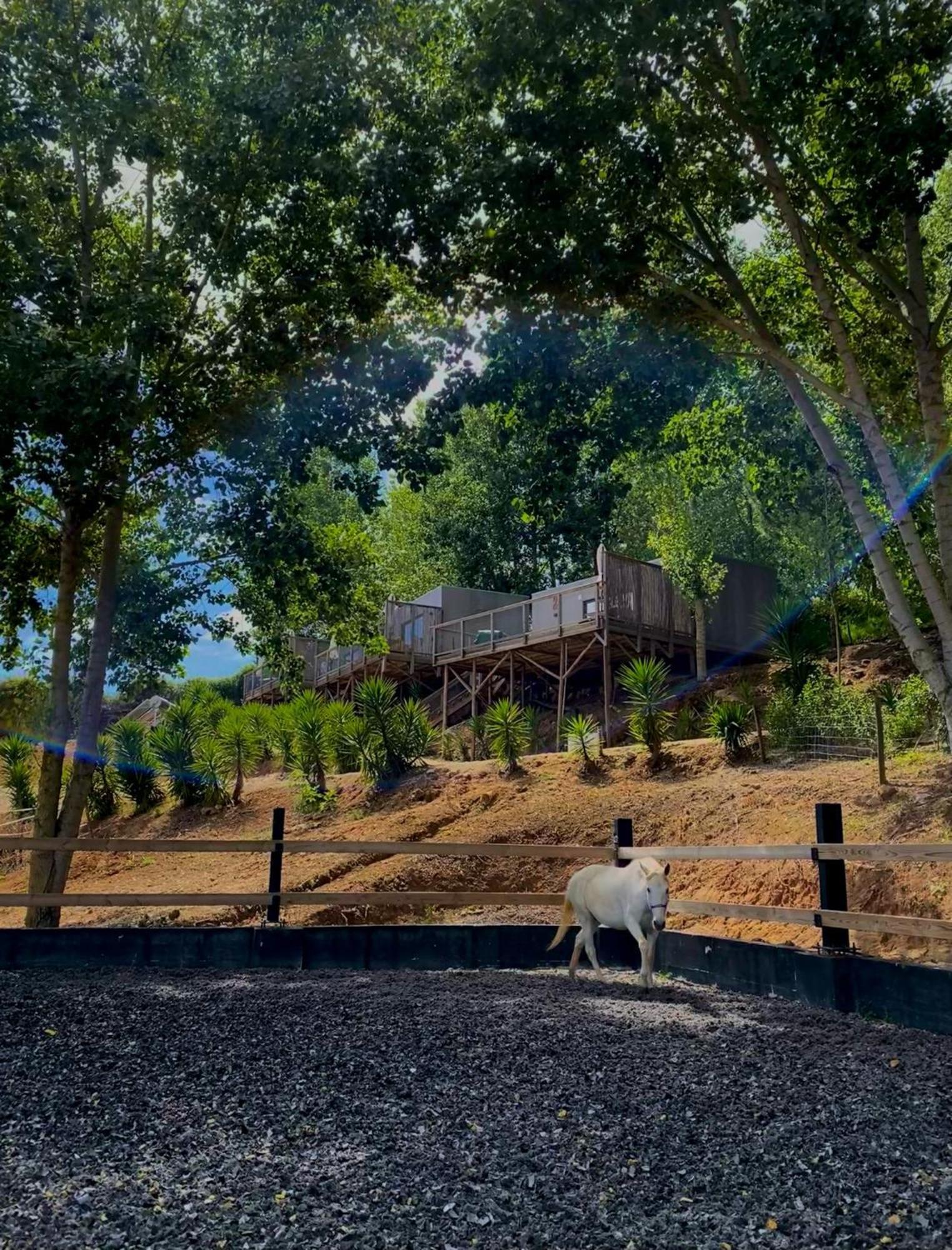 Equinatura - Silver Coast Caldas Da Rainha Dış mekan fotoğraf
